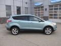 2013 Frosted Glass Metallic Ford Escape SE 2.0L EcoBoost 4WD  photo #2