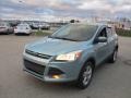 2013 Frosted Glass Metallic Ford Escape SE 2.0L EcoBoost 4WD  photo #5