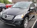 Obsidian Black Metallic - ML 350 4Matic Photo No. 1