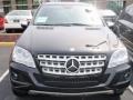 Obsidian Black Metallic - ML 350 4Matic Photo No. 2