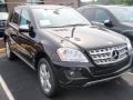 Obsidian Black Metallic - ML 350 4Matic Photo No. 3