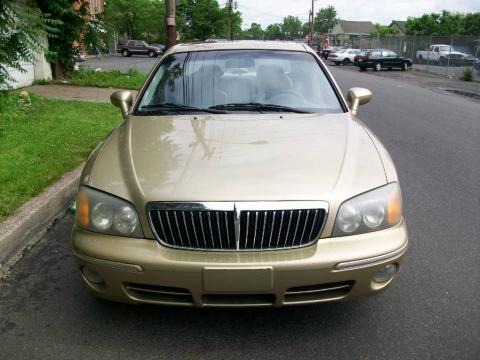 01 hyundai xg300