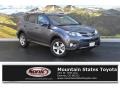 Magnetic Gray Metallic - RAV4 XLE Photo No. 1