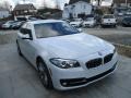 Alpine White - 5 Series 528i xDrive Sedan Photo No. 8