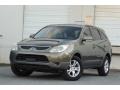 2008 Natural Khaki Metallic Hyundai Veracruz GLS #108673930