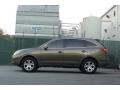 2008 Natural Khaki Metallic Hyundai Veracruz GLS  photo #4