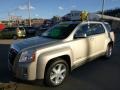 Gold Mist Metallic 2010 GMC Terrain SLE AWD