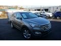 Mineral Gray - Santa Fe Sport 2.0T AWD Photo No. 2