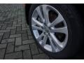 Billet Silver Metallic - 200 Limited Photo No. 8