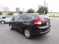 Crystal Black Pearl - CR-V LX Photo No. 6