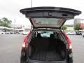 Crystal Black Pearl - CR-V LX Photo No. 18