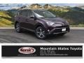 Black Currant Metallic - RAV4 XLE AWD Photo No. 1