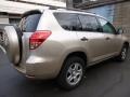 Savannah Metallic - RAV4 4WD Photo No. 3
