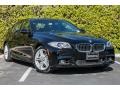 2016 Jet Black BMW 5 Series 528i Sedan  photo #11