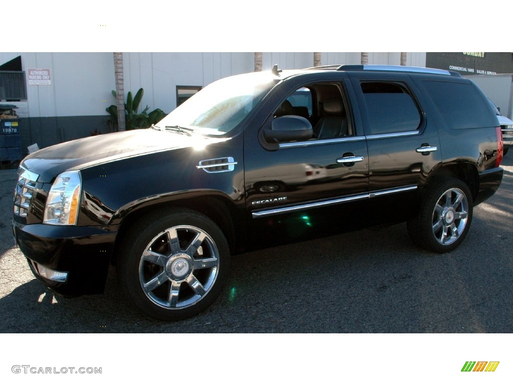 2010 Escalade Premium - Black Ice / Ebony photo #7
