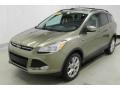 2013 Ginger Ale Metallic Ford Escape SEL 1.6L EcoBoost 4WD  photo #3