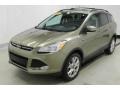 Ginger Ale Metallic - Escape SEL 1.6L EcoBoost 4WD Photo No. 3