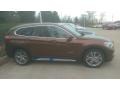 Chestnut Bronze Metallic - X1 xDrive28i Photo No. 3