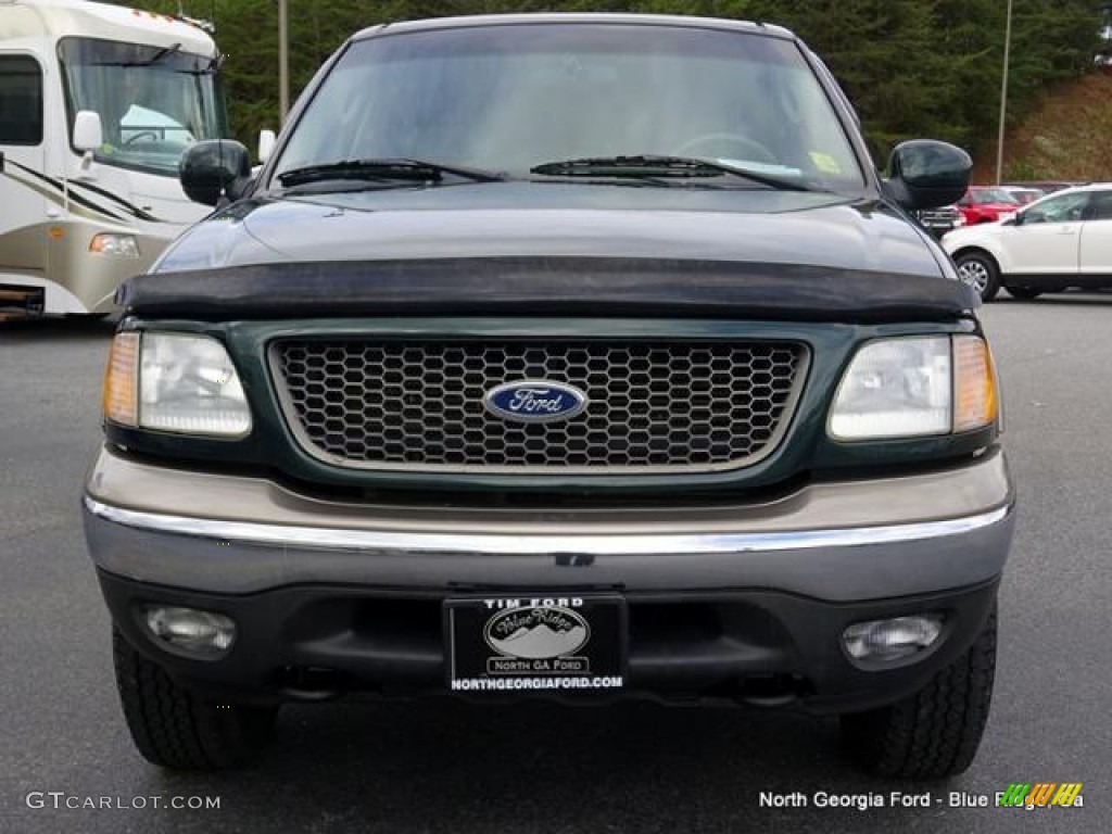 2002 F150 Lariat SuperCrew 4x4 - Dark Highland Green Metallic / Medium Parchment photo #8