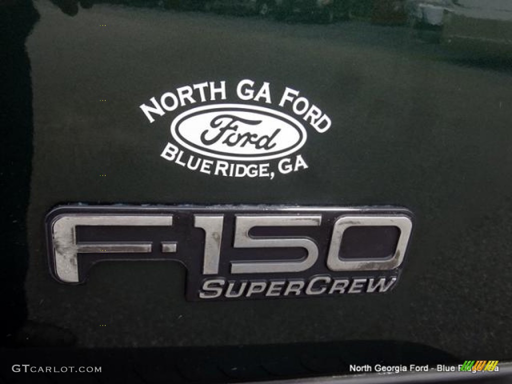 2002 F150 Lariat SuperCrew 4x4 - Dark Highland Green Metallic / Medium Parchment photo #38