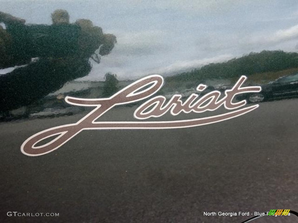 2002 F150 Lariat SuperCrew 4x4 - Dark Highland Green Metallic / Medium Parchment photo #39