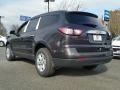 Tungsten Metallic - Traverse LS Photo No. 4