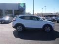 Winter White - Tucson SE Photo No. 12