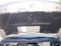 Light Bronzemist Metallic - Tracker LT 4WD Hard Top Photo No. 39