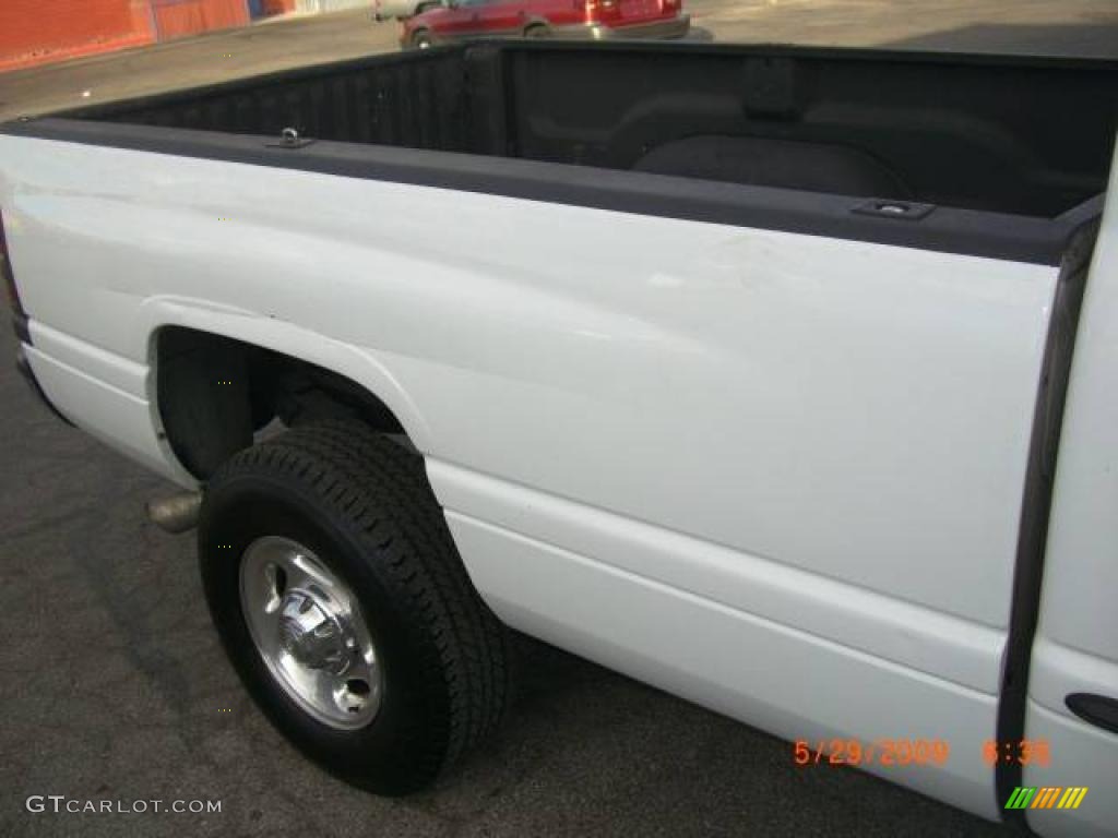 2001 Ram 2500 ST Regular Cab - Bright White / Camel/Tan photo #9