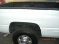 2001 Bright White Dodge Ram 2500 ST Regular Cab  photo #10