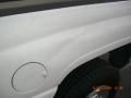 2001 Bright White Dodge Ram 2500 ST Regular Cab  photo #14