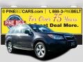 Dark Gray Metallic - Forester 2.5i Photo No. 1