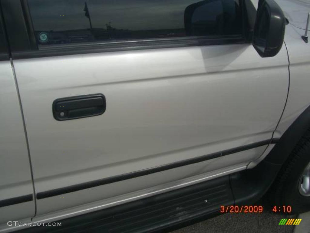 1999 4Runner  - Desert Dune Metallic / Oak photo #13