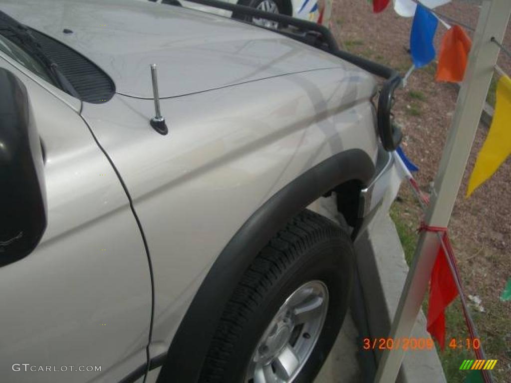 1999 4Runner  - Desert Dune Metallic / Oak photo #14