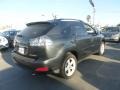 2007 Flint Gray Mica Lexus RX 350  photo #2