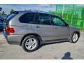 2004 Sterling Grey Metallic BMW X5 4.4i  photo #32