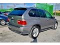 2004 Sterling Grey Metallic BMW X5 4.4i  photo #33