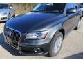 Daytona Gray Pearl - Q5 2.0 TFSI Premium quattro Photo No. 3