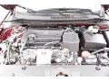 Basque Red Pearl II - ILX Premium Photo No. 29