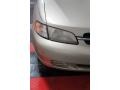 Champagne Metallic - Altima GXE Photo No. 47
