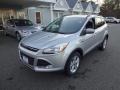 2016 Ingot Silver Metallic Ford Escape SE 4WD  photo #3