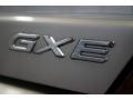 Champagne Metallic - Altima GXE Photo No. 110