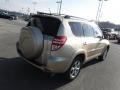 2010 Sandy Beach Metallic Toyota RAV4 Limited V6 4WD  photo #9