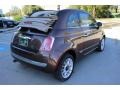 2013 Espresso (Brown) Fiat 500 c cabrio Lounge  photo #15