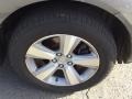 Grigio Metallic - MDX SH-AWD Technology Photo No. 27