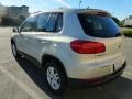 Reflex Silver Metallic - Tiguan S Photo No. 3