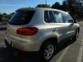 Reflex Silver Metallic - Tiguan S Photo No. 11