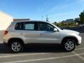Reflex Silver Metallic - Tiguan S Photo No. 12
