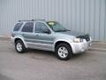2005 Titanium Green Metallic Ford Escape Hybrid 4WD  photo #1