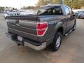 Sterling Grey Metallic - F150 XLT SuperCrew 4x4 Photo No. 8